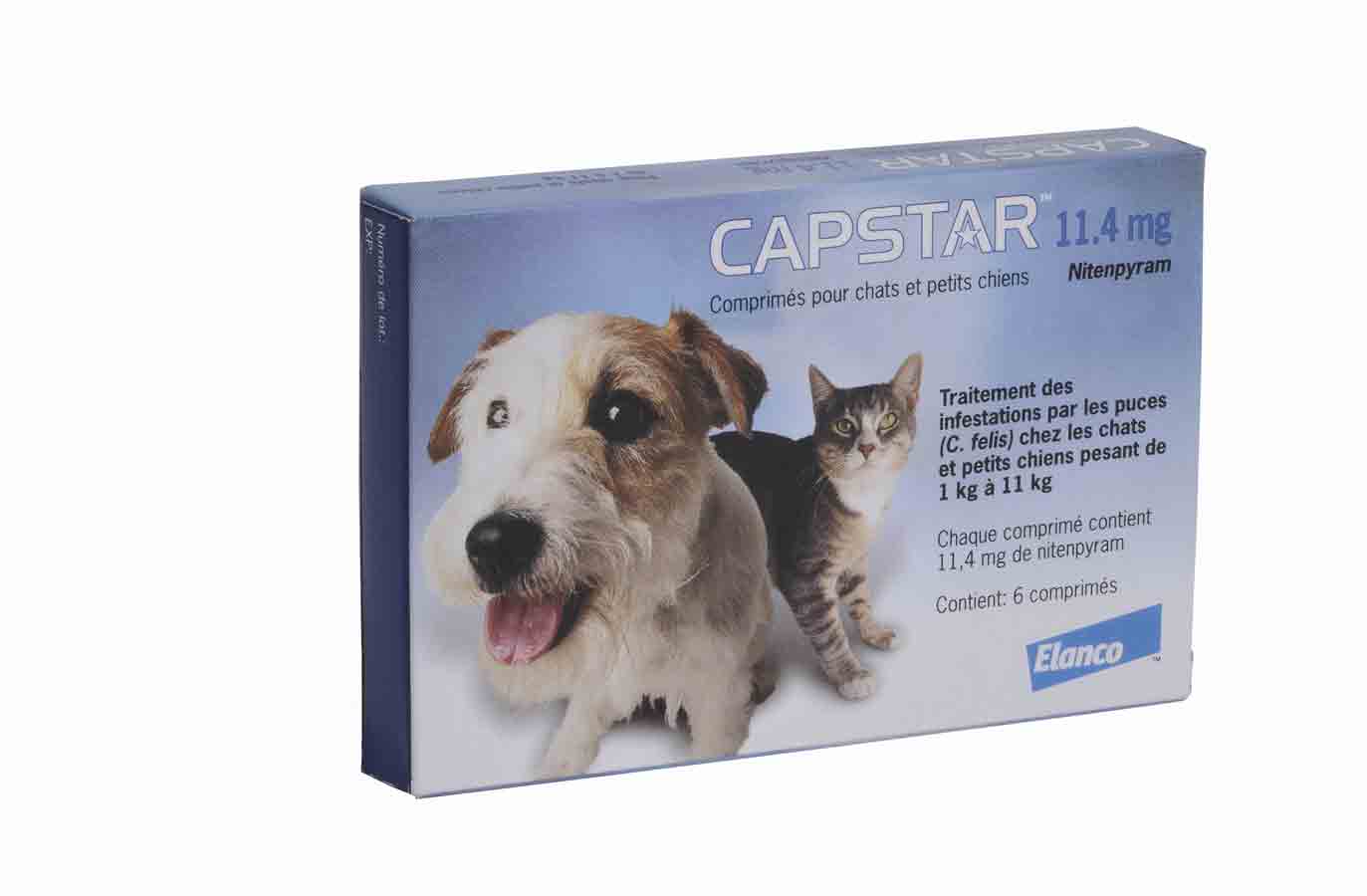 Capstar 11 4 Mg Pour Chat Et Petit Chien