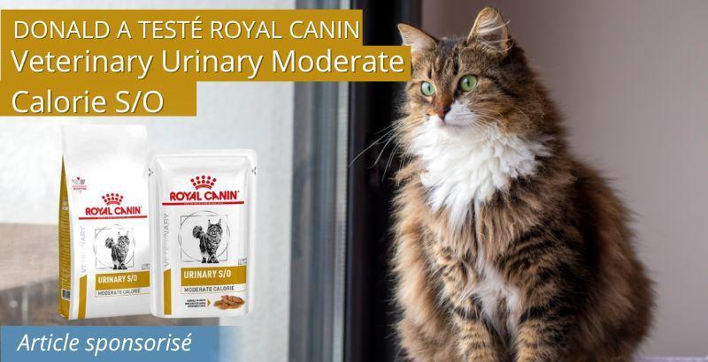 On a testé Royal Canin Chat Urinary Moderate Calorie S/O