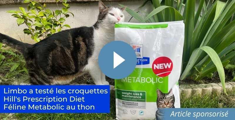 Conseil Vétérinaire - Blog - Test produit : Hill's Prescription Diet Féline  Metabolic au thon pour chat