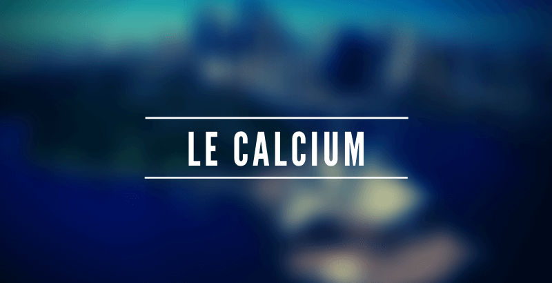 Conseil Vétérinaire - Blog - Les nutriments - Le Calcium
