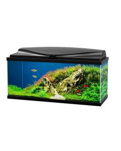 Ciano Aquarium 80 LED noir | Aquarium | La Compagnie des Animaux