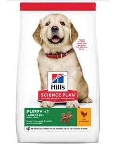 Hill's Science Plan Puppy Large Healthy Development Poulet 16 kg- La Compagnie des Animaux
