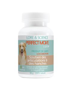 Lore & Science Chien Perfect Move 90 cps