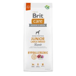 Brit Care Chien Junior grande race Agneau et riz 3 kg | Croquettes