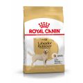 Royal Canin Labrador Adult 3 kg