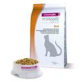 Eukanuba Veterinary Diets Renal chat 1,5 kg