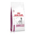 Royal Canin Vet Chien Cardiac 2 kg