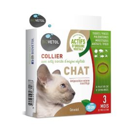 Conseil Vétérinaire - Blog - Vermifuger son chaton : importance et conseils  essentiels