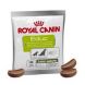 Royal Canin Nutrition Dog Educ 50 g