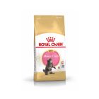 Royal Canin Maine Coon Kitten 4 kg- La Compagnie des Animaux