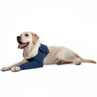 Medical Pet Shirt Manche de protection simple XS