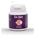 Arcanatura Dr Vet Retinae Chat Chien 30 cp