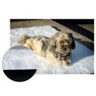 Tapis-Moquette Anti Escarres pour Chien 70 x 90 cm