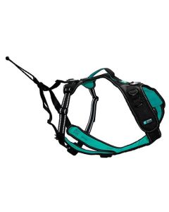 Cani Gear harnais Symbioz chien bleu XS