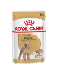 Royal Canin Caniche Adult mousse 12 x 85 g - DLUO : 23/10/2024