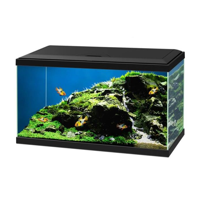 Ciano Aquarium 60 LED noir | Aquarium | La Compagnie des Animaux