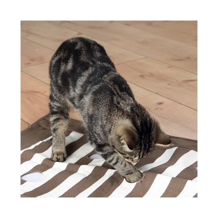 Trixie Cat Activity couverture à gratter 70 x 50 cm | Jeux éducatifs