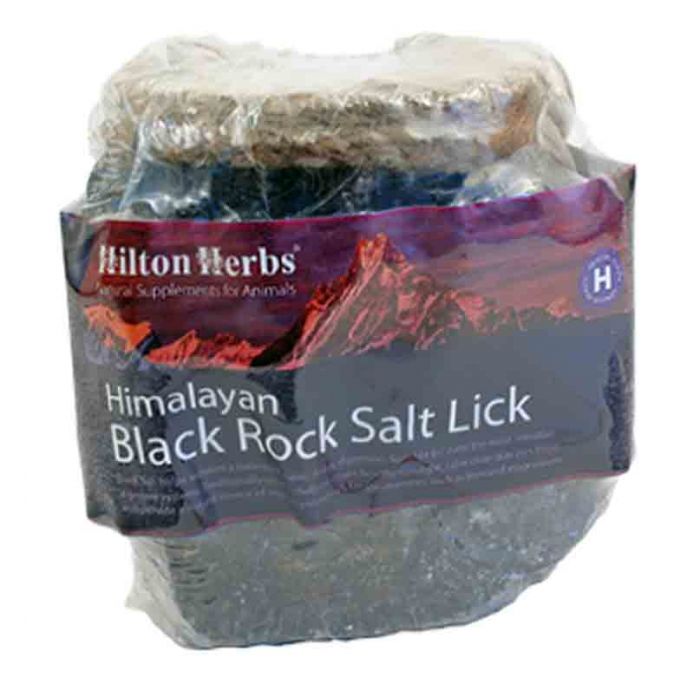 Hilton Herbs Pierre à sel noir de l'Himalaya 1 kg | Livraison rapide