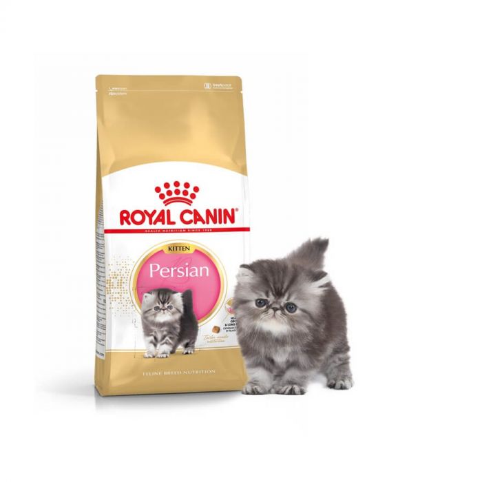 Royal Canin Persian Kitten 10 kg | Persan | La Compagnie des Animaux