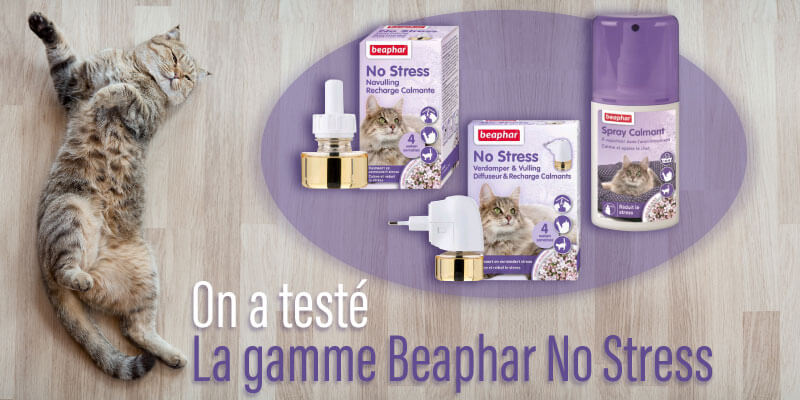 Conseil Vétérinaire - Blog - TEST produit : Gamme calmante Beaphar pour  chat stressé