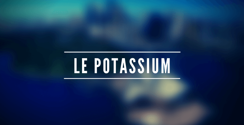 Conseil Vétérinaire - Blog - Les nutriments - Le Potassium