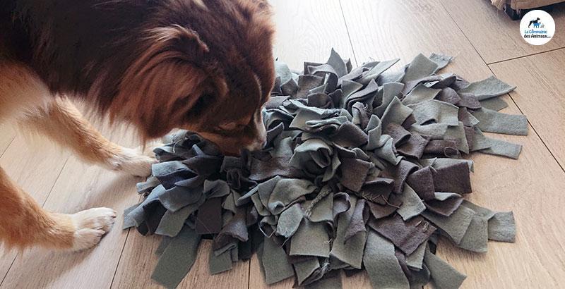 Conseil Vétérinaire - Blog - DIY : Comment fabriquer un tapis de fouille ?