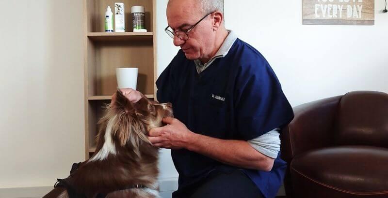 Conseil Vétérinaire - Blog - Prendre soin des griffes de nos chiens | Nos  conseils en vidéo