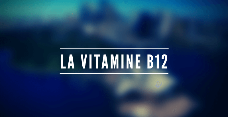 Conseil Vétérinaire - Blog - Les nutriments - La vitamine B12 ou Cobalamine