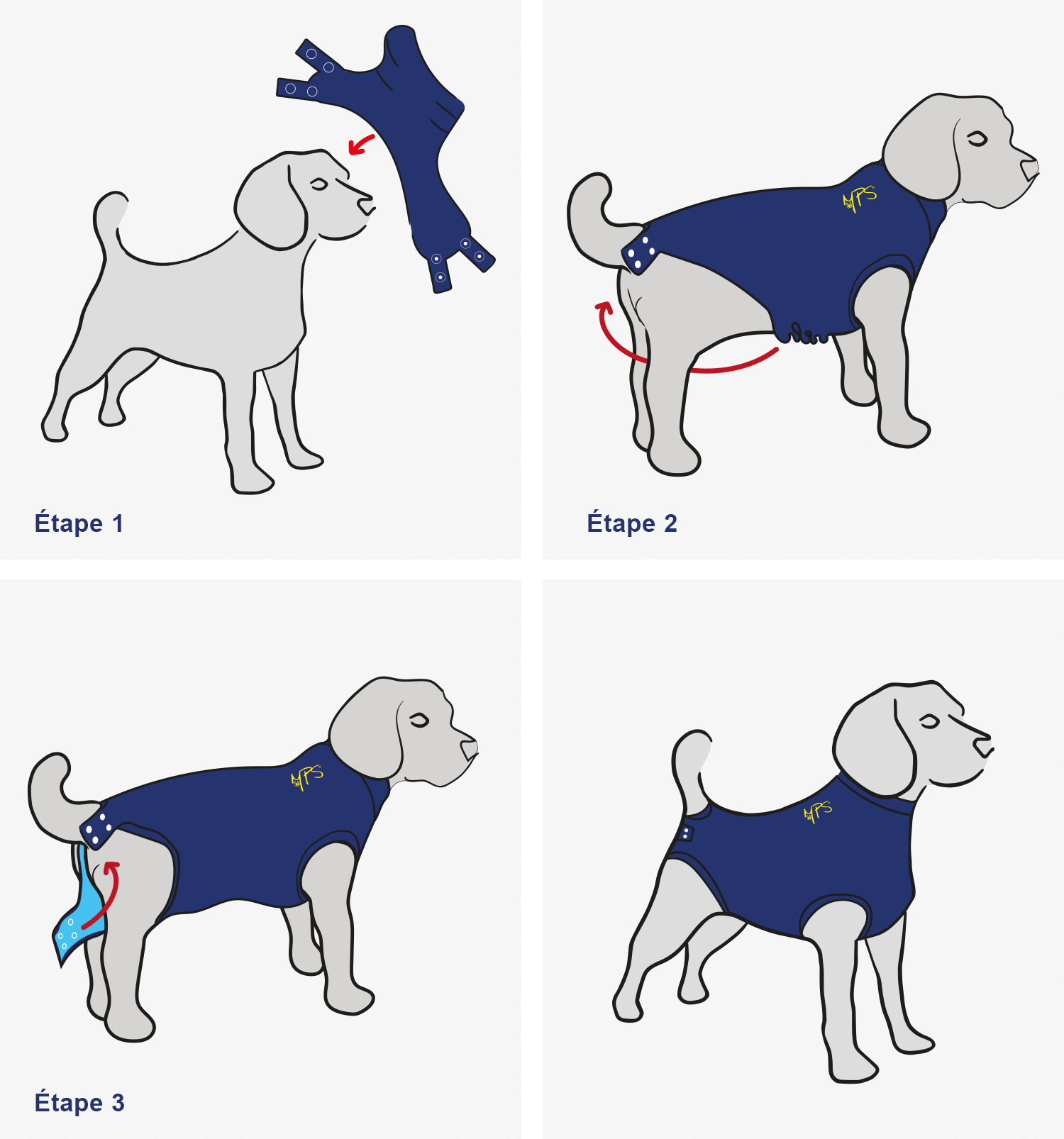 Conseil Vétérinaire - Blog - On a testé : Le gilet Medical Pet Shirt