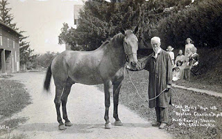 L’âge des chevaux