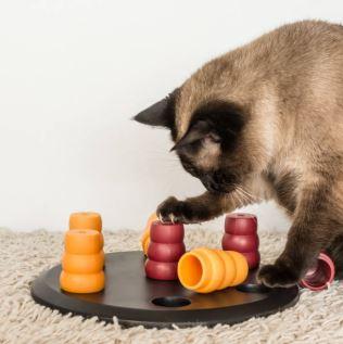 Conseil Vétérinaire - Blog - Quel jeux d'intelligence choisir pour son chat  ?