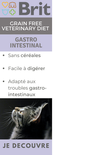 Découvrez la gamme d'alimentation Brit Vet Gastro Intestinal pour chat et chien