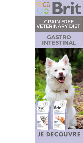 Découvrez la gamme d'alimentation Brit Vet Gastro Intestinal pour chat et chien