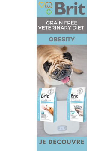 Découvrez la gamme d'alimentation Brit Vet Obesity pour chat et chien