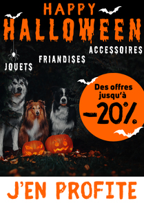 Profitez de nos offres d'Halloween