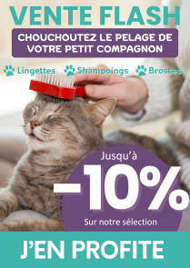 Chouchoutez le pelage de votre petit compagnon