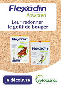 Découvrez le Flexadin Advanced pour chat et chien