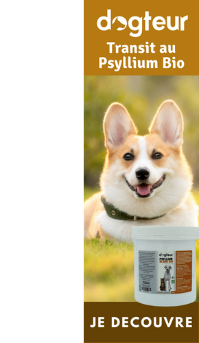 Pansement gastrique chien | La Compagnie des Animaux